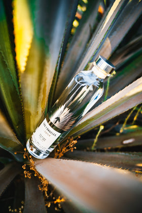 L7Á Extra Añejo Cristalino Tequila